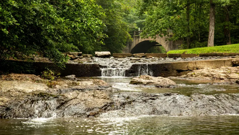 Gulpha Gorge Creek runs over boulders surrounded by trees with a quaint bridge in the background