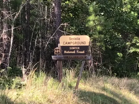 Francis Marion and Sumter National Forests recreation area