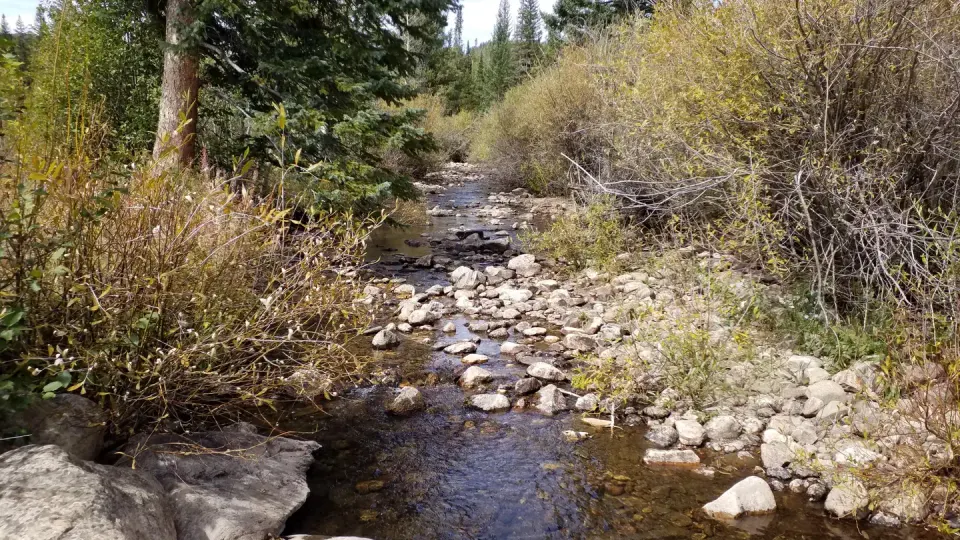 Pine Campground