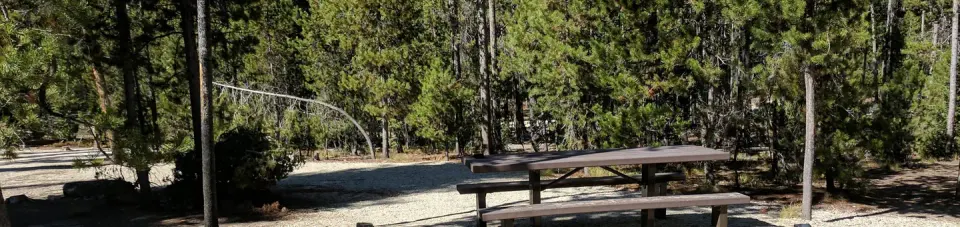 Boundary Creek Campsite #12