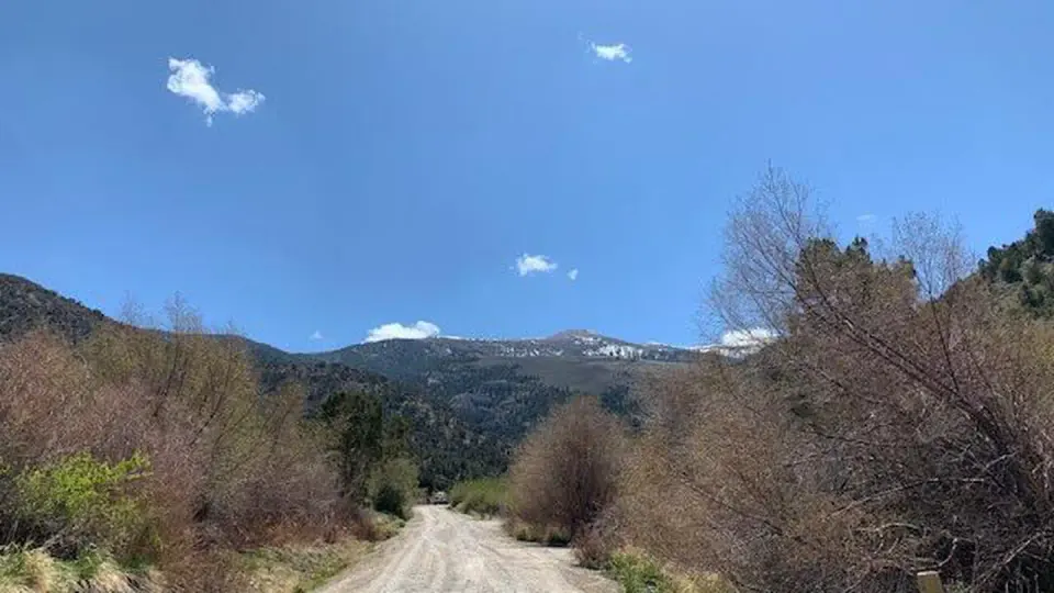Humboldt-Toiyabe National Forest Headquarters recreation area
