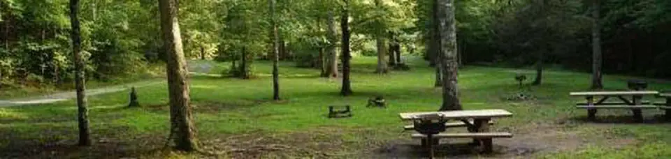 McNabb Group Camp