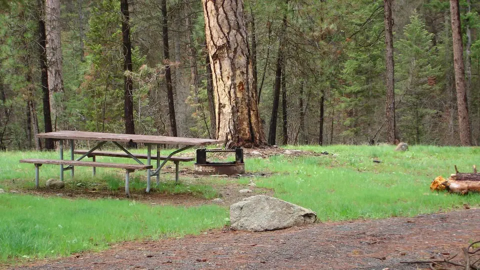 Forested setting with campfire ring and picnic table.
