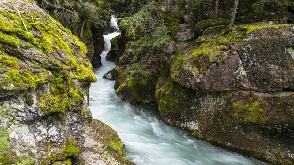 A creek flows through a small gorge of rocks covered in moss.