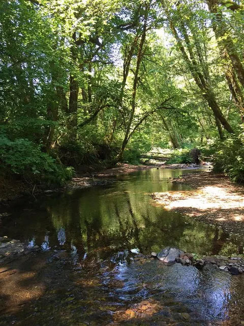 Siuslaw River SRMA recreation area