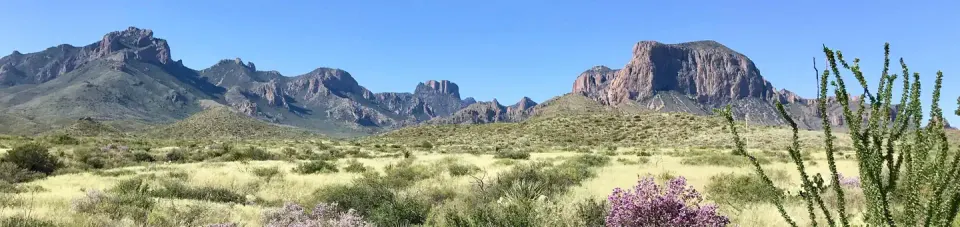 Big Bend National Park
