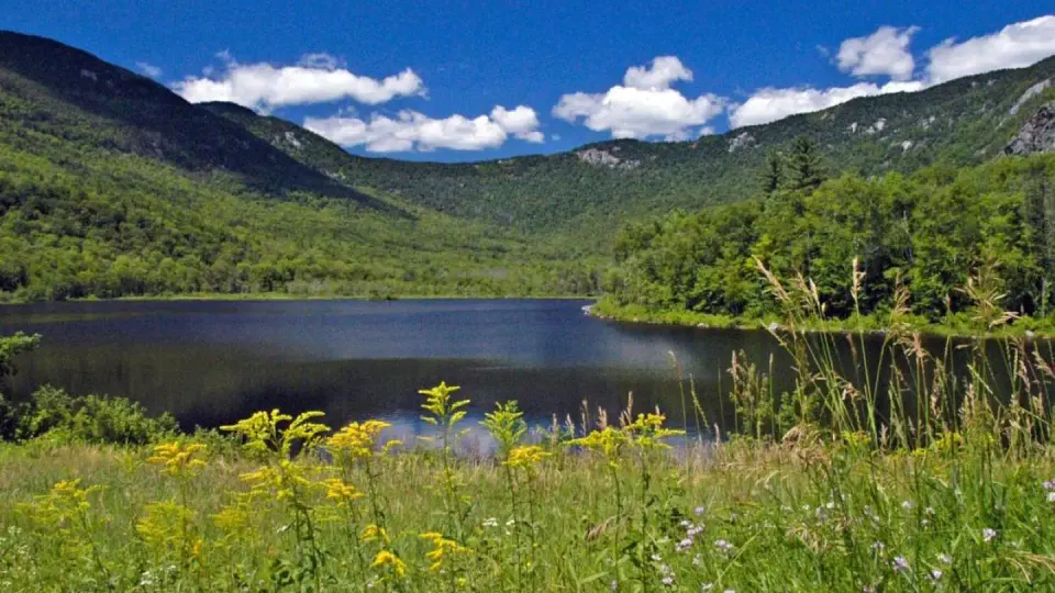 White Mountain National Forest recreation area