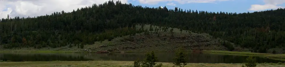 Lake with green grassyh banks and mountain with pines in the background.