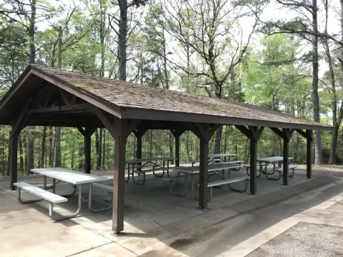 Shelter