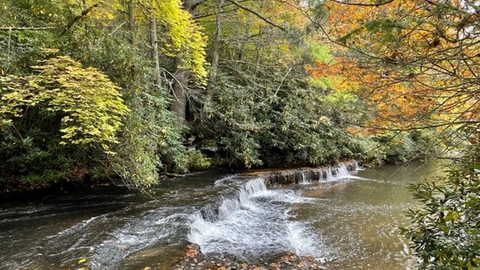 Meadow Creek