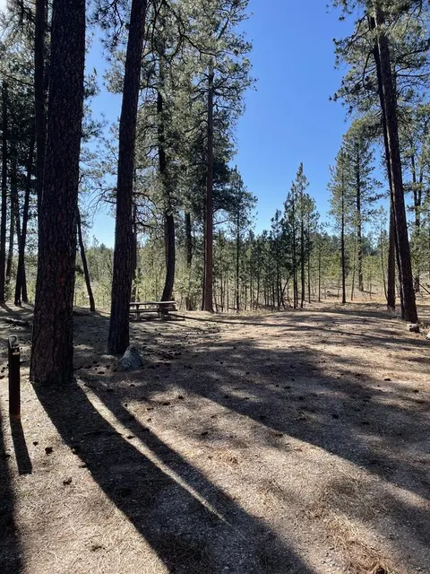 Site 2