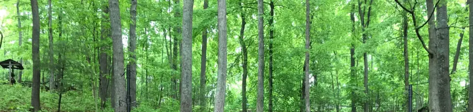 Cardens Bluff Campground