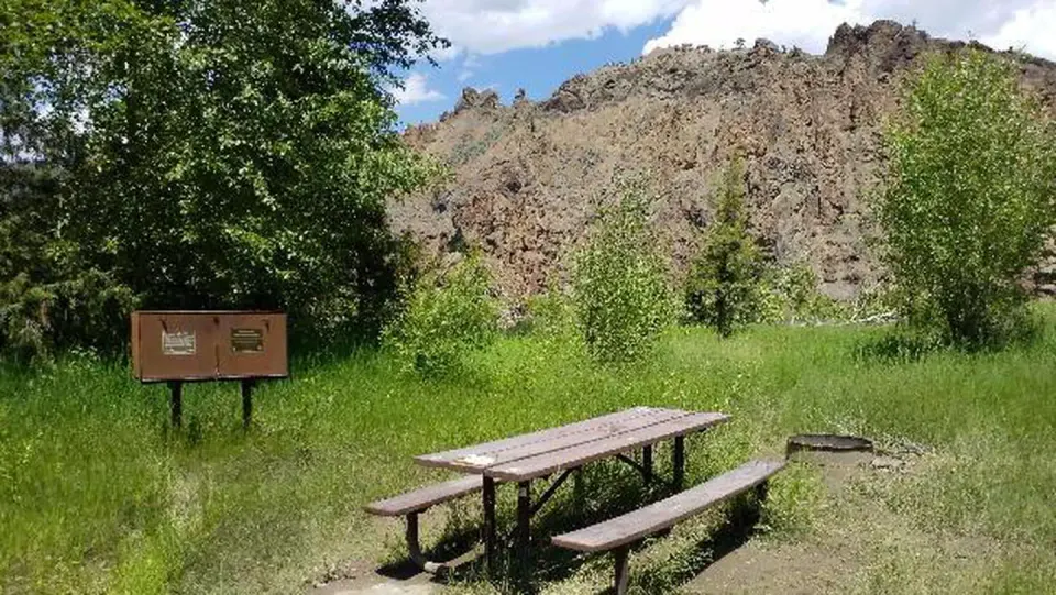 Campsite with bear box, picnic table, and fire ring. Trees and mountains in background