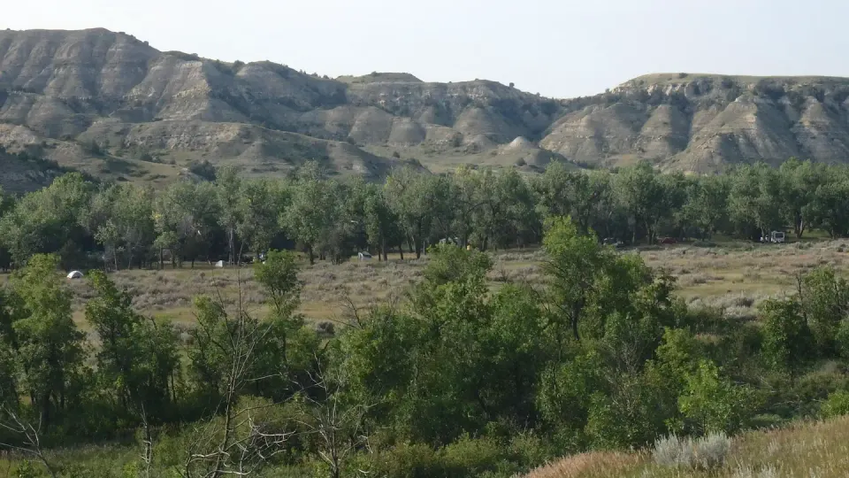 View of Cottonwood Campground from the main park road. There are buttes in the background with a large stand of cottonwoods and a field in between.