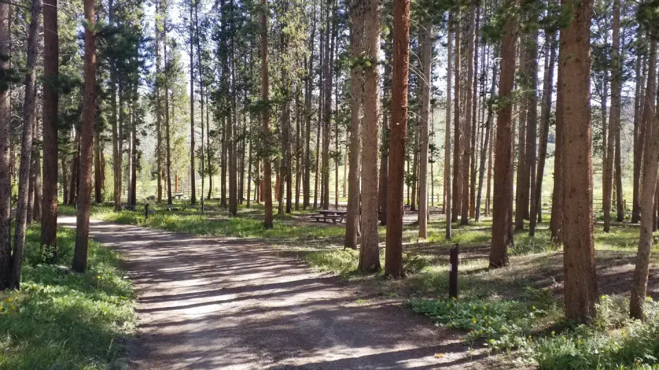 Pelton Creek Campground