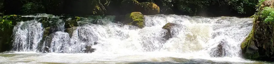 Cavitt Creek Falls during the early summer months