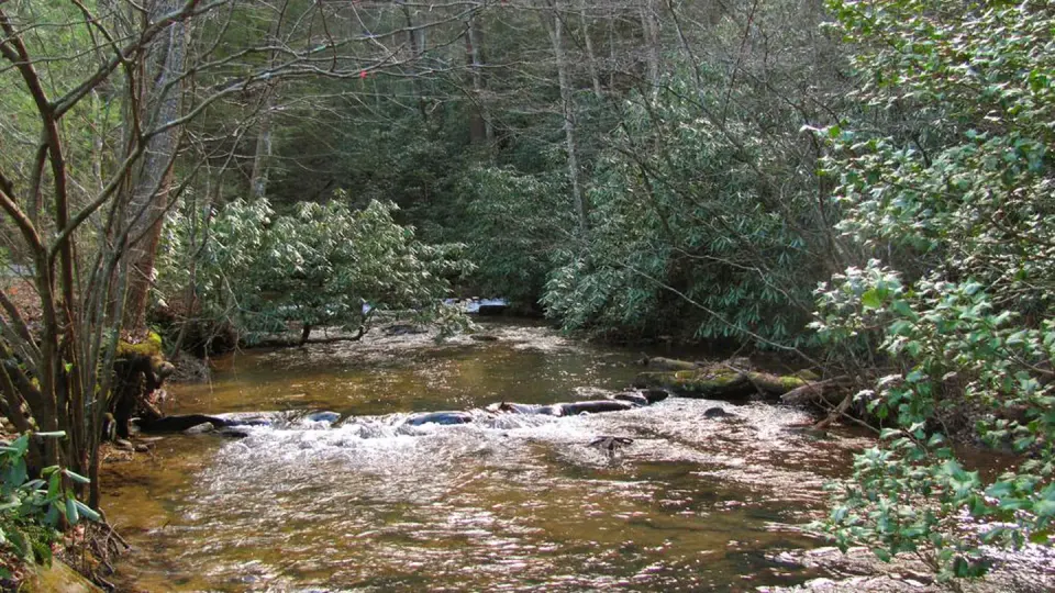 Rock Creek