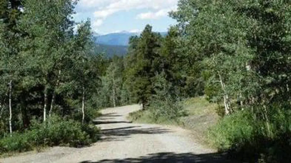 Road to Cold Springs