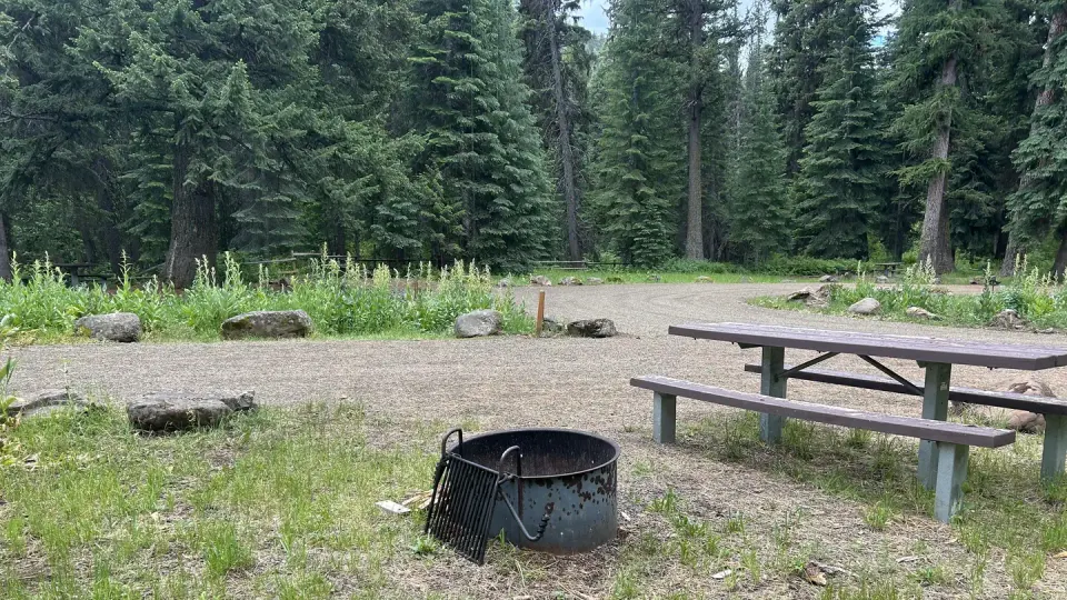 Campsite with large trees in the background.