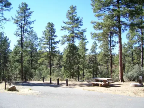 LYNX CAMP SITE