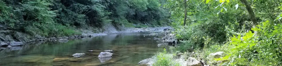 George Washington & Jefferson National Forest recreation area