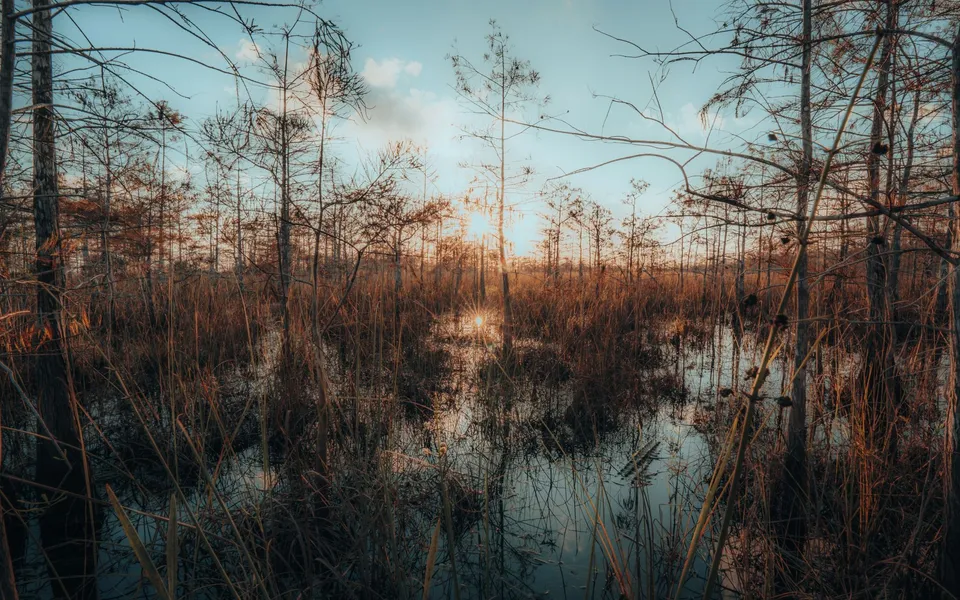 Representative Florida outdoor destination image from Pexels