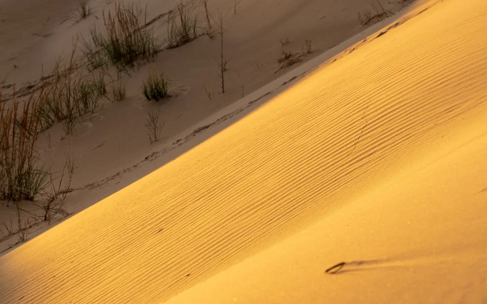 Representative Indiana outdoor destination image from Pexels