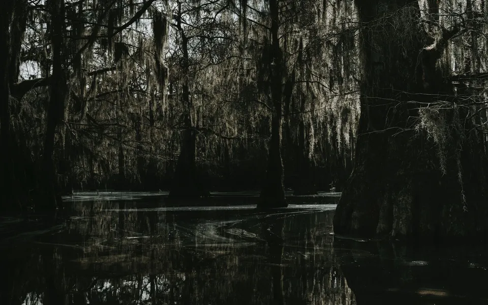 Representative Louisiana outdoor destination image from Pexels